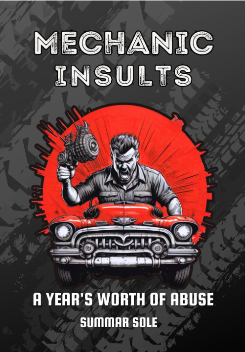 Mechanic Insults funny book cover – adult humour gift by Summar Sole